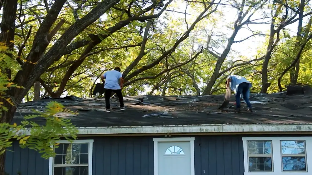 Roofers stripping old shingles off a roof under tall oak trees