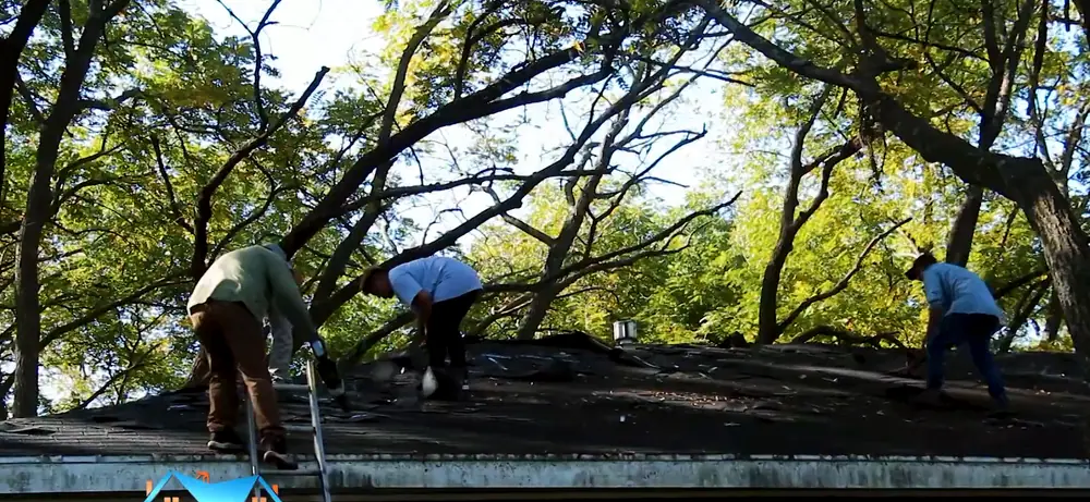 Full Roof crew tearing off an old roof on a blue house under oak trees