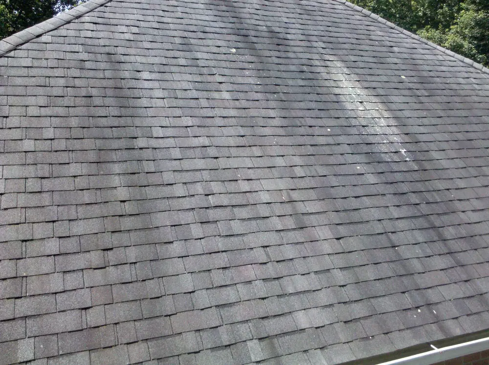Dark algae streaks running down a gray asphalt shingle roof