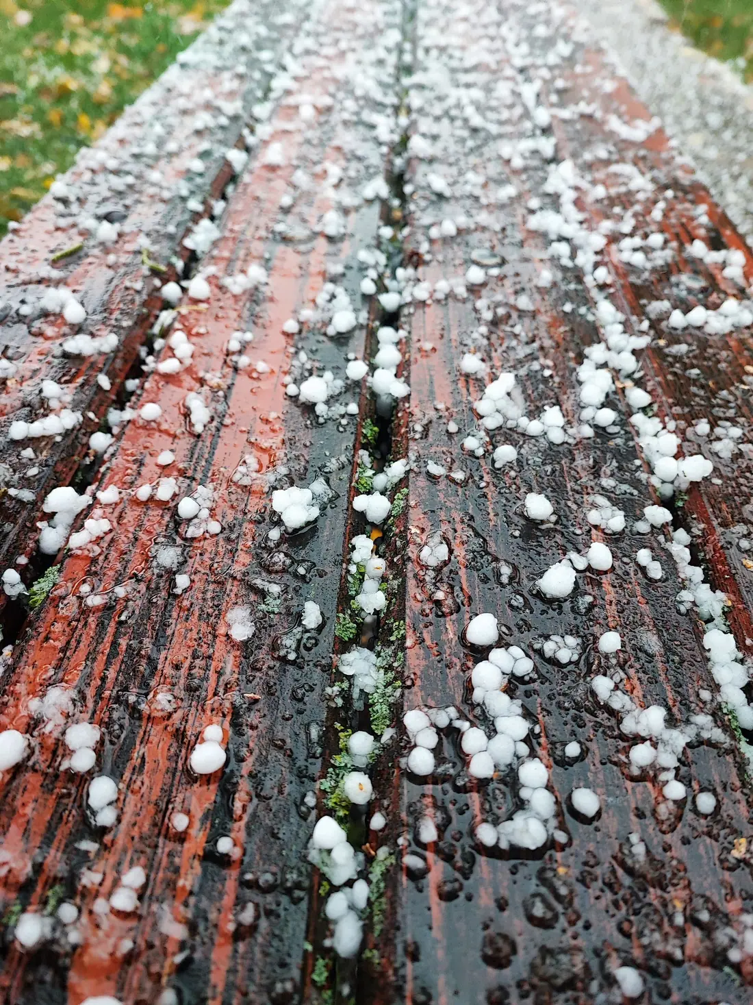 Hailstones scattered across wet wooden boards after a storm